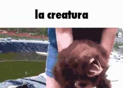 la creatura