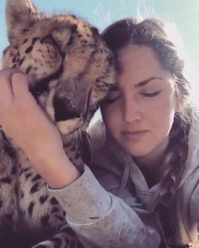 Everybody likes a face scratch every now and then