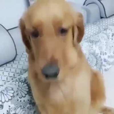 When you eat more than you can...!!