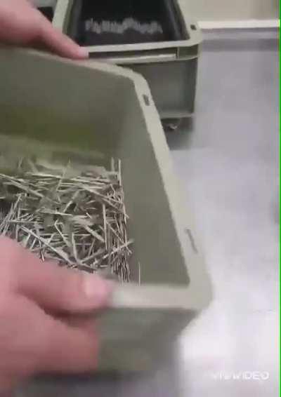 Shake Shake Shake, that's all it takes