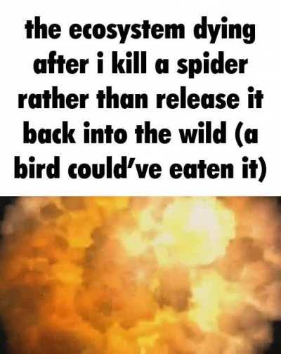 I do not like spider (they are cringe)