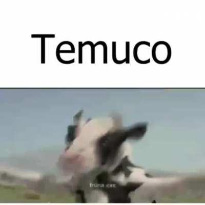 Temuco