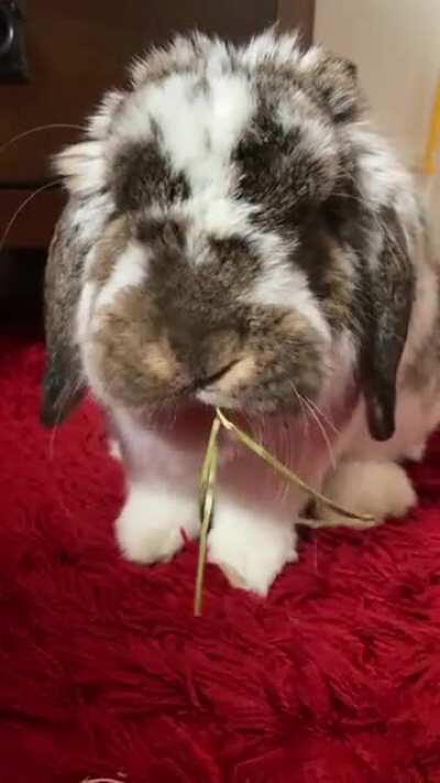 He wants me to get out of his face haha