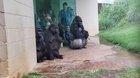 Gorillas are magnificent, majestic creatures full of grace and beauty... except when it rains.