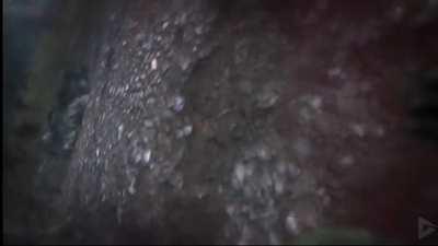 I made this after finding out about Frontline 🥲