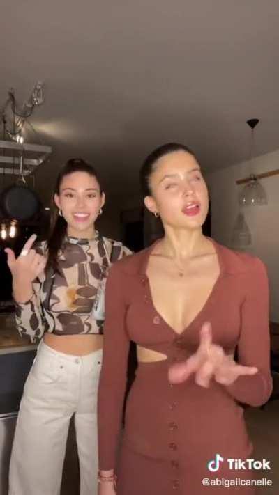 Im not the only one that can see her nips right?