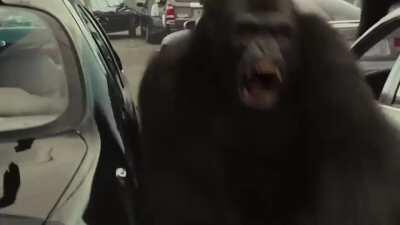 Never Break The Chain...