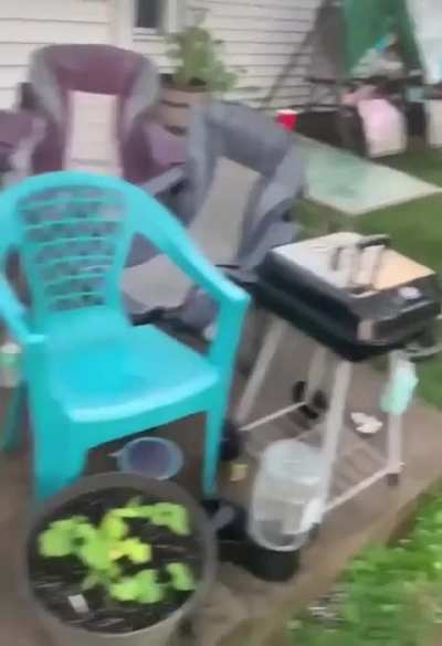 Horrible or hilarious?