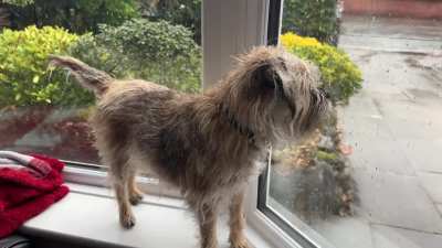 Does anyone else’s BT spend the whole day waiting for the postie?!