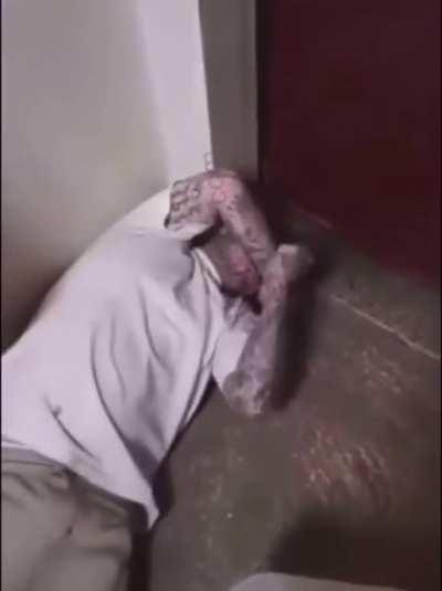 What did the five fingers say to the face?