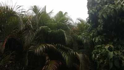 I woke up to beautiful 4th of July weather this morning