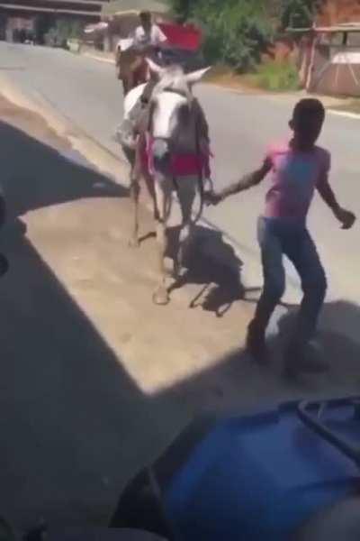 Vai tomar no cu coxinha