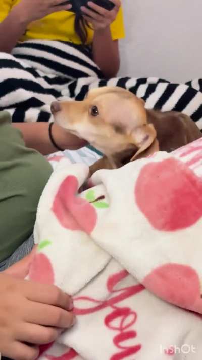 Pretending her arm is hurt for the love of pizza!