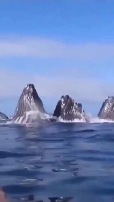 thalassophobia hits hard