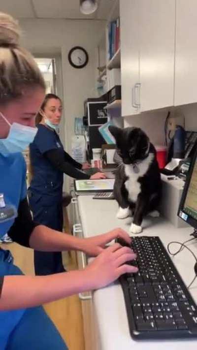 Хорош уже вкалывать, иди домой!