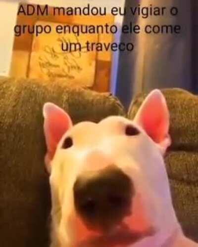 Pode confiar adm👍
