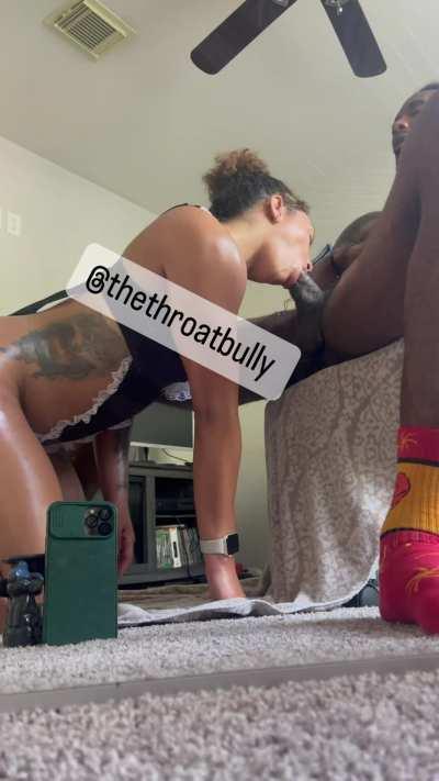 Get a maid that polishes everything