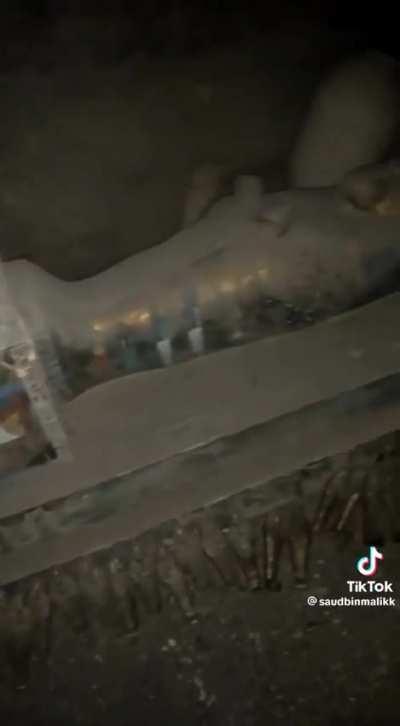 Hidden cave with ancient Egyptian relics and jewelry