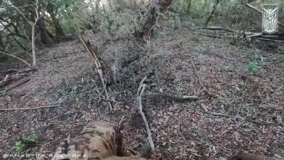 Ukrainian reconnaissance unit of the 13th NGU Brigade 