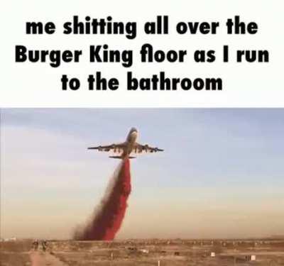 Cat’s outta the baaaaag