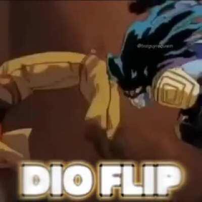 DIO FLİP