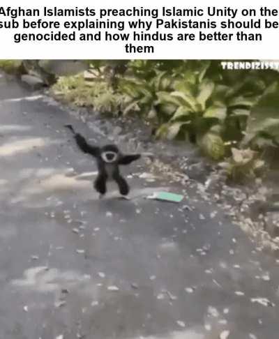 This is how we afghans roll B)