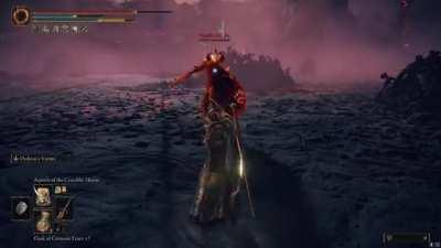 Crucible Knights share one brain cell