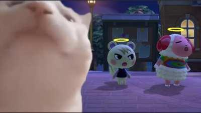 Who else just plays this in the background and jams