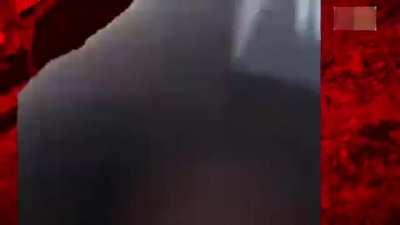 Jumping on The Bomb: Forest