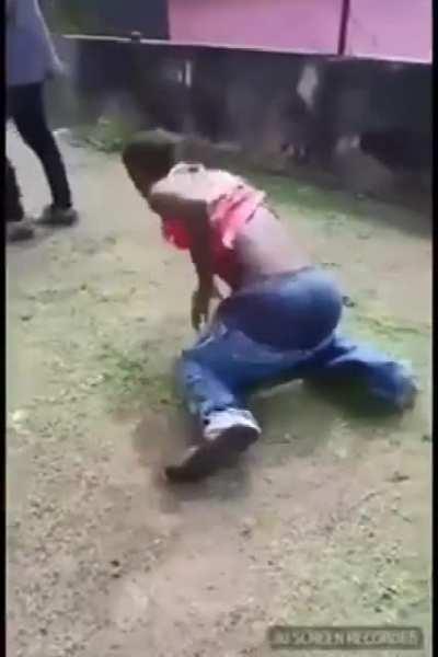 Look out for the tree!