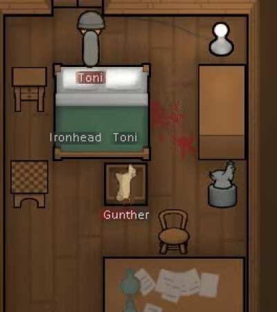 Gunther the dog chooses a terrible time to want to play!