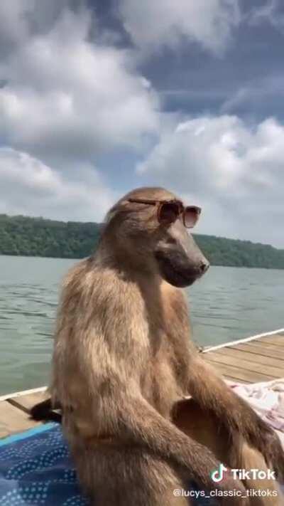 Franks red hot goes great on anything