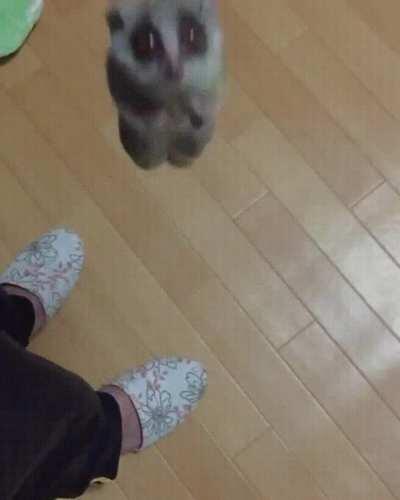 Houston, we have liftoff!