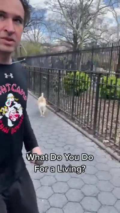 First-year associates vs. Senior Managers