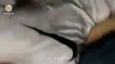 🇵🇸#Palestine || Israeli occupation soldiers attack worshippers inside Bab Al Rahmah prayer area with sounds grenades. هجوم قوات الإحتلال على المصلين داخل مصلى باب الرحمة بالمسجد الأقصى.