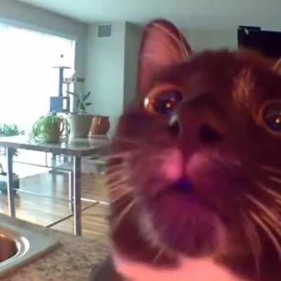 In celebration of my 4th year on reddit, I made this garbage