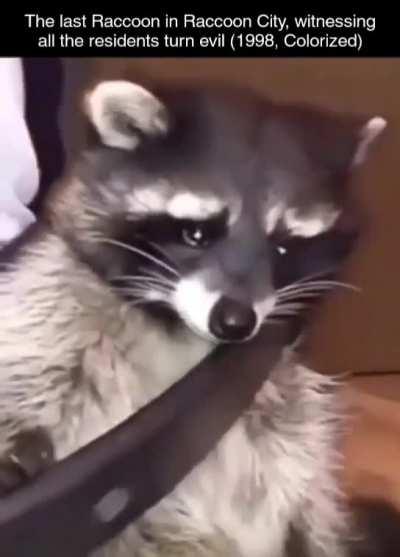 Inspired by a meme I saw here not too long ago 