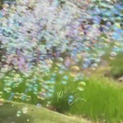 Lllleeeeettttttsssss rrrrroooooocccckk