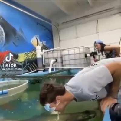 How that 5 hooks beat drop makin me feel🥴