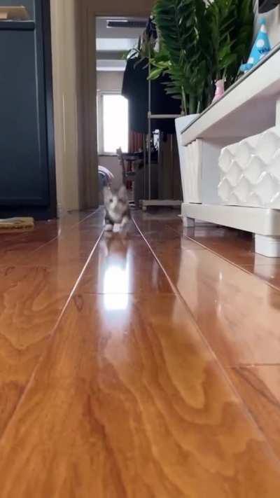 Look out, here I come