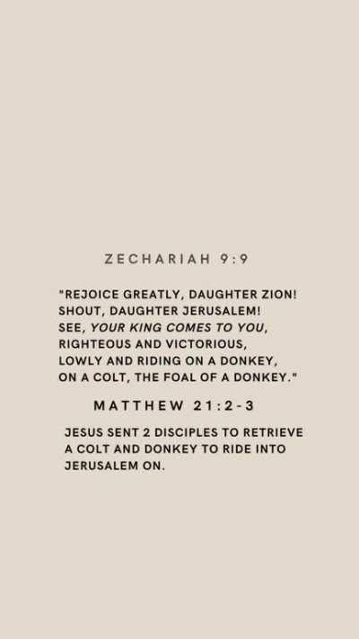 This Sunday is Palm Sunday! What does that even mean? Why do we celebrate it? Watch here to learn about where the story of Palm Sunday comes from. #palmsunday #Christianity