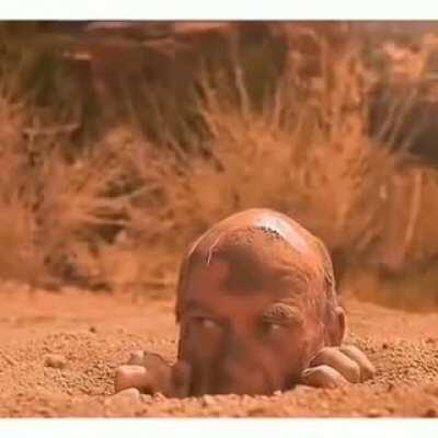 BETTER CALL SAUL PREQUEL????😳😳😳😳