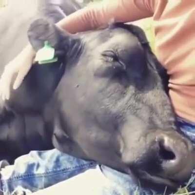 What a wonderful life..