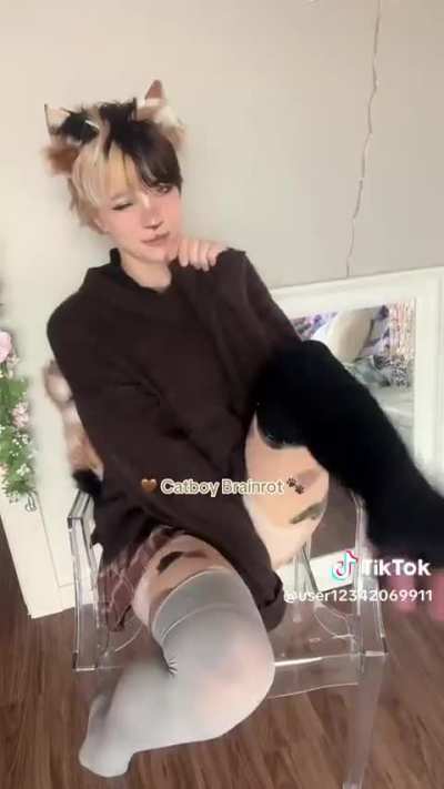 Catboy Brainrot 