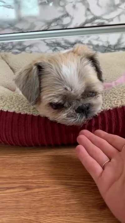 My Deaf and Blind Boy Realizing I’m Home