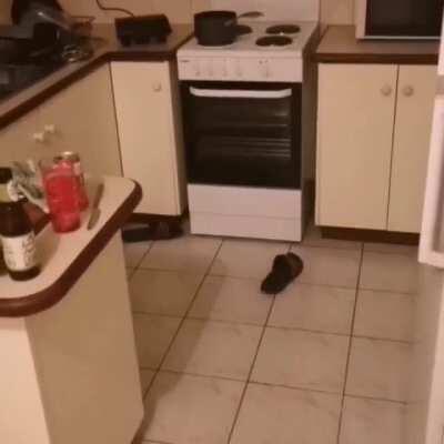 Yo these slides are loud af