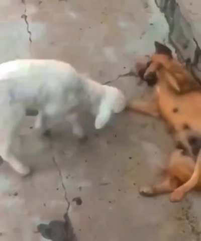 Esse vídeo me quebra em todos os sentidos hahahaahaha