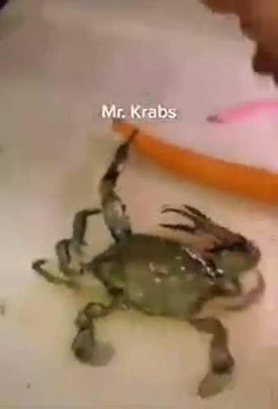 Don cangrejo esta bien