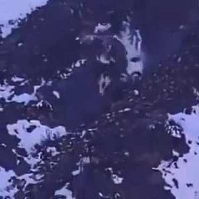 Snow leopard + his meal + gravity =