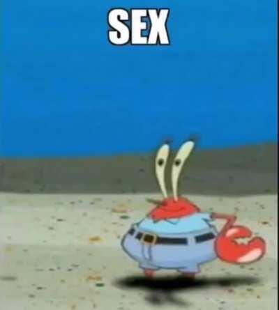 SEX NOW OR I WILL SEX